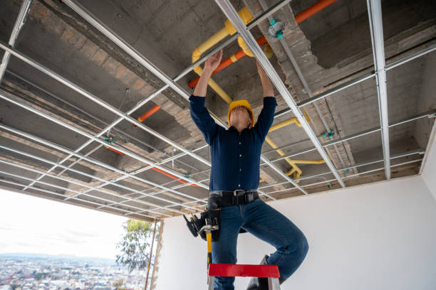 Best Plumbing Inspection Services  in Buffalo, NY